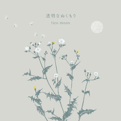 透明なぬくもり/Tico Moon