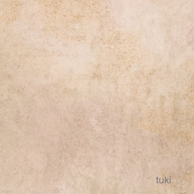 シングル/tuki/櫻井智子