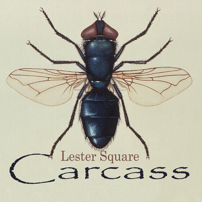 Carcass/Lester Square