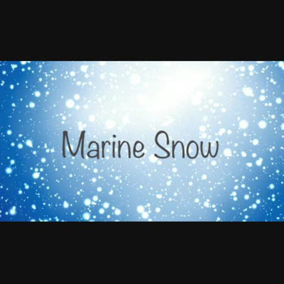 Marine Snow/Yamada