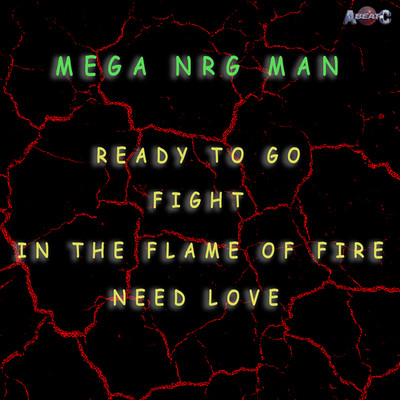 シングル/IN THE FLAME OF FIRE (Extended Mix)/MEGA NRG MAN