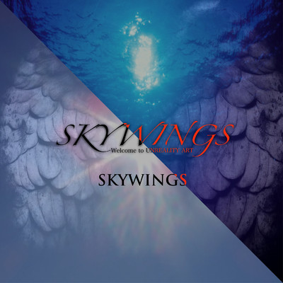 DISCONNECTED RECOLLECTION/SKYWINGS