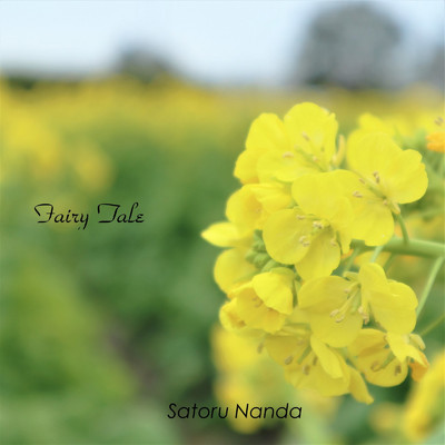 アルバム/Fairy Tale/Satoru Nanda