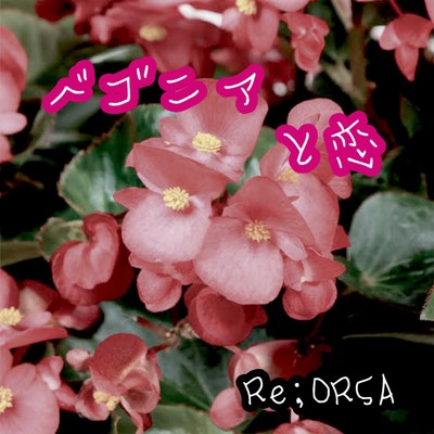 シングル/ベゴニアと恋/Re;ORSA