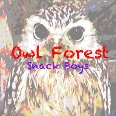 Owl Forest/Snack Boys