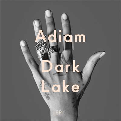 Dark Lake (Tyler Pope Remix ／ LCD Soundsystem)/Adiam