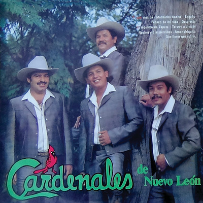 Noches Y Dias Perdidos/Cardenales De Nuevo Leon