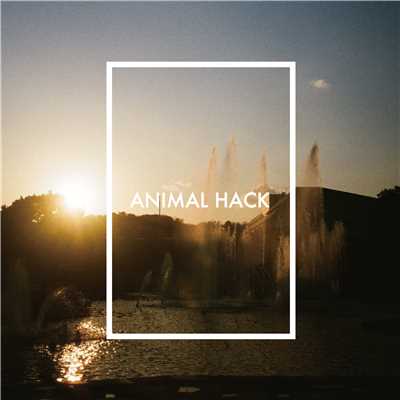 シングル/Plastic Night/ANIMAL HACK