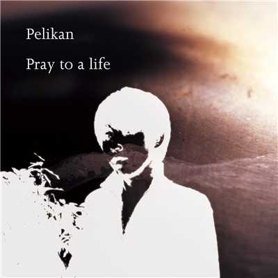 シングル/song is forever/Pelikan