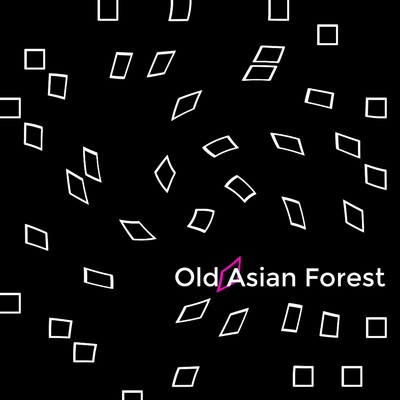 Old Asian Forest