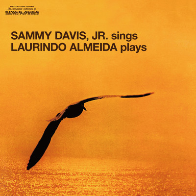 I'M ALWAYS CHASING RAINBOWS/SAMMY DAVIS