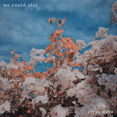 We Could Stay/Elyss Daya