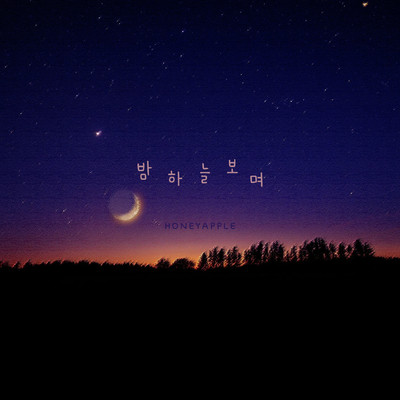 シングル/Night Sky (Instrumental)/Honey Apple