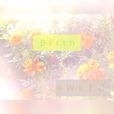 シングル/Birth/AWEED
