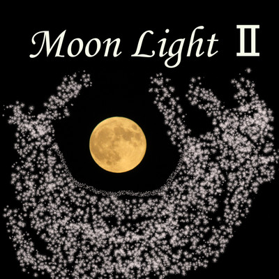 Moon Light, Vol.2/absolute