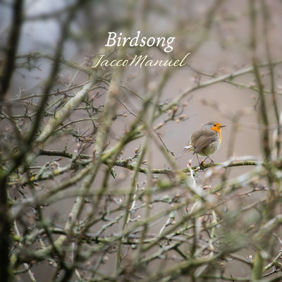 シングル/Birdsong/Jacco Manuel