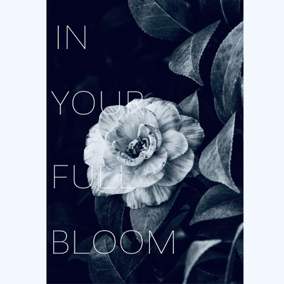 アルバム/In your full bloom/Imai Tomoaki