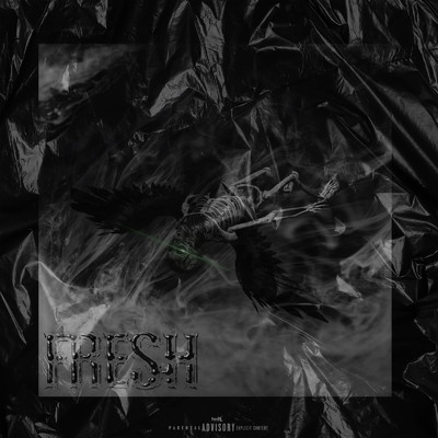 FRESH (feat. Xameleon & Jaja)/TERRA