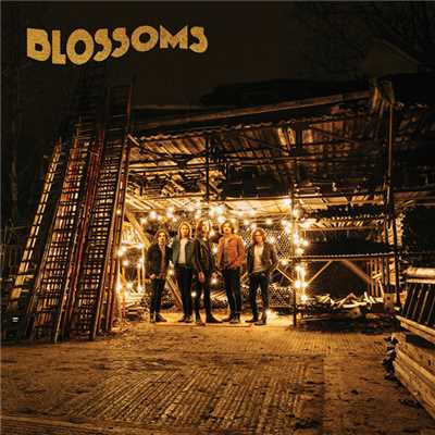 アルバム/Blossoms/ブロッサムズ