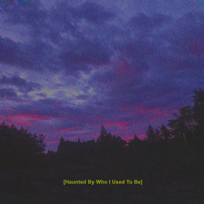 シングル/Haunted by Who I Used to Be (feat. Cailyn)/4NPlanet
