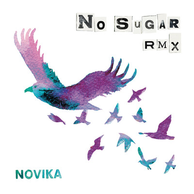 アルバム/No Sugar RMX/Novika