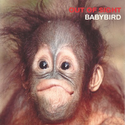 アルバム/Out of Sight/Babybird
