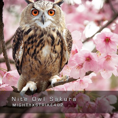 シングル/Nite Owl Sakura/MIGHTYXSTRIKE402
