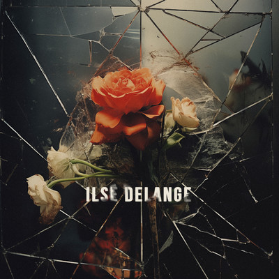 アルバム/Good To You/Ilse DeLange