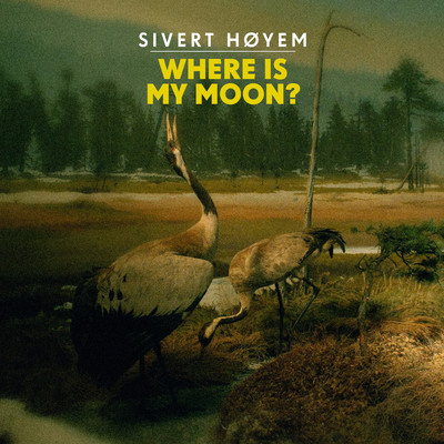 Where Is My Moon？/Sivert Hoyem