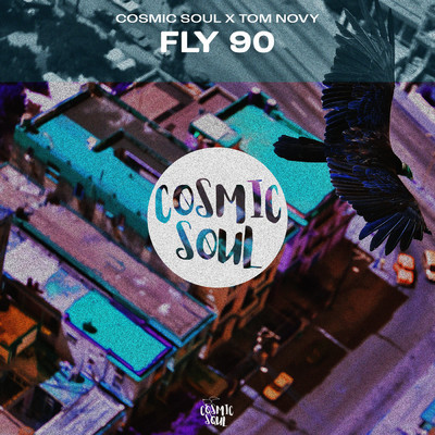 Fly 90 (Radio Edit)/Cosmic Soul／Tom Novy