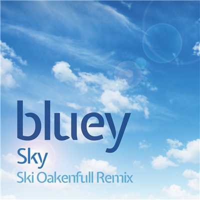Sky (Ski Oakenfull Remix)/Bluey