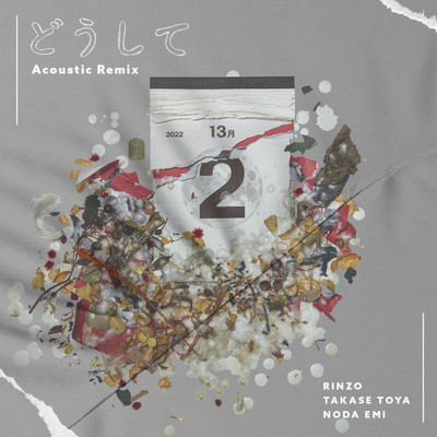どうして (Acoustic Remix)/RINZO
