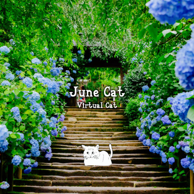 June Cat/Virtual Cat