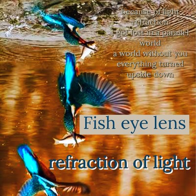 Fish eye lens/空蝉