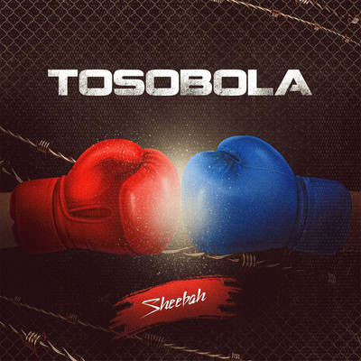 シングル/Tosobola/Sheebah