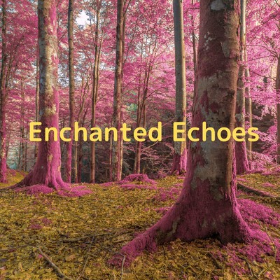 アルバム/Enchanted Echoes/Soulful Symphony