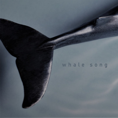 シングル/Whale Song/Hagi
