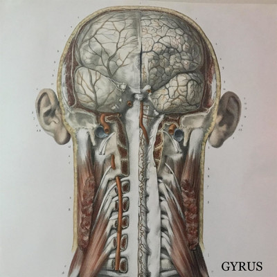 Gyrus/Grigoriy Kifyuk