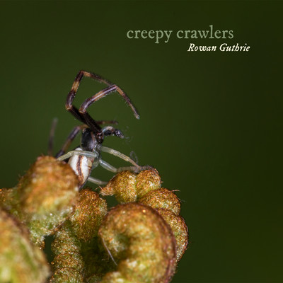 creepy crawlers/Rowan Guthrie