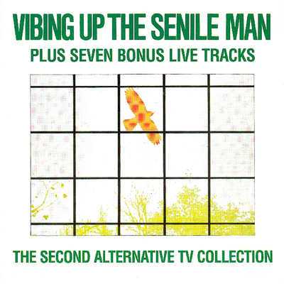 Vibing Up The Senile Man/A.T.V.