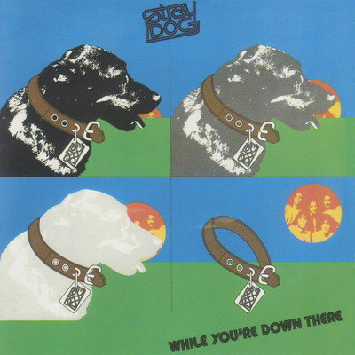 While You're Down There/Stray Dog