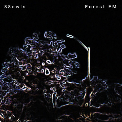 Forest FM/88owls