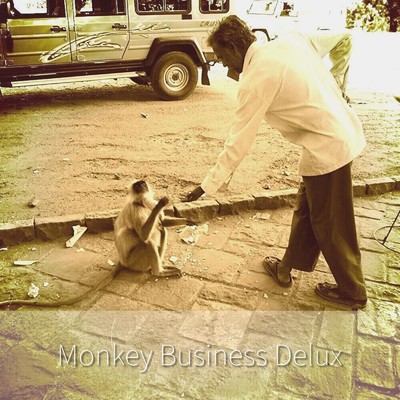 Monkey Business Delux