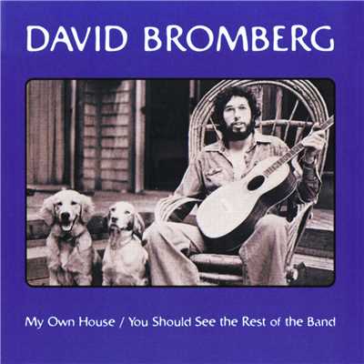 As The Years Go Passing By (Live)/David Bromberg