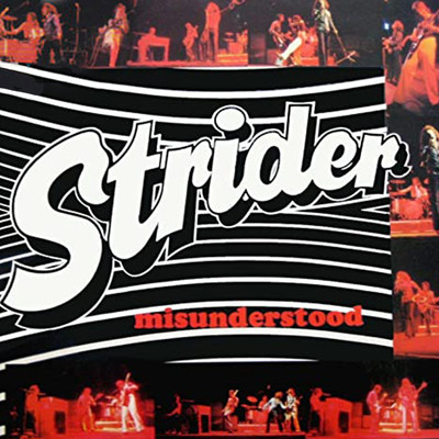 アルバム/Misunderstood/Strider