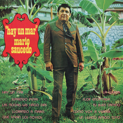 アルバム/Hay Un Mar/Mario Saucedo
