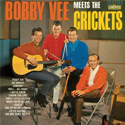 Bobby Vee Meets The Crickets/ボビー・ヴィー／ザ・クリケッツ
