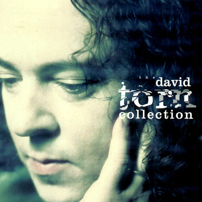 The David Torn Collection/Various Artists