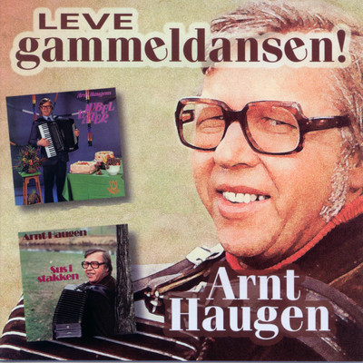Arnt Haugen
