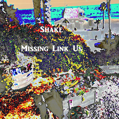 Shake/Missing Link Us